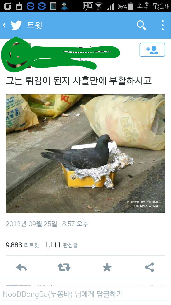 트위터 캡쳐 모음 | 인스티즈