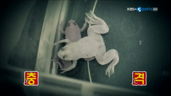 개구리 이름 지은 배유나.JPG | 인스티즈