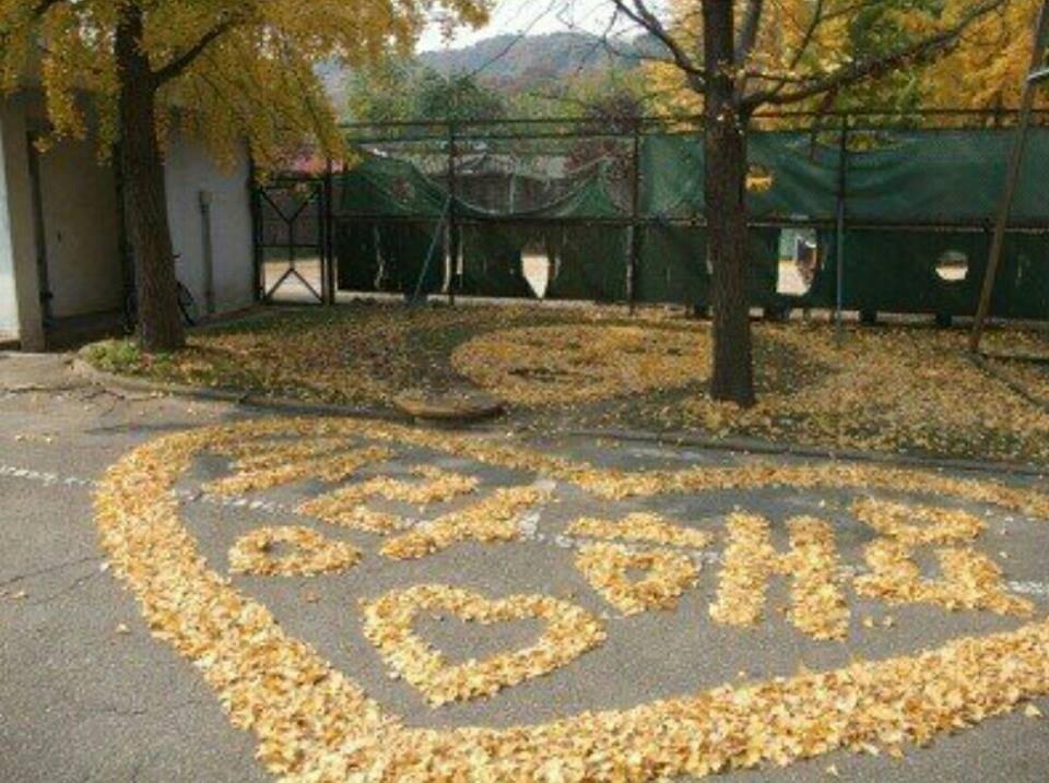 빗자루아저씨 이미지