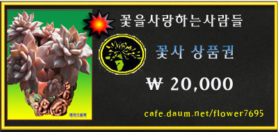 꽃사로 이미지