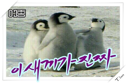 두바이 급발진 사고.gif | 인스티즈