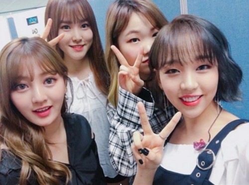 백아연 트와이스 지효 여자친구 유주 악동뮤지션 이수현 | 인스티즈
