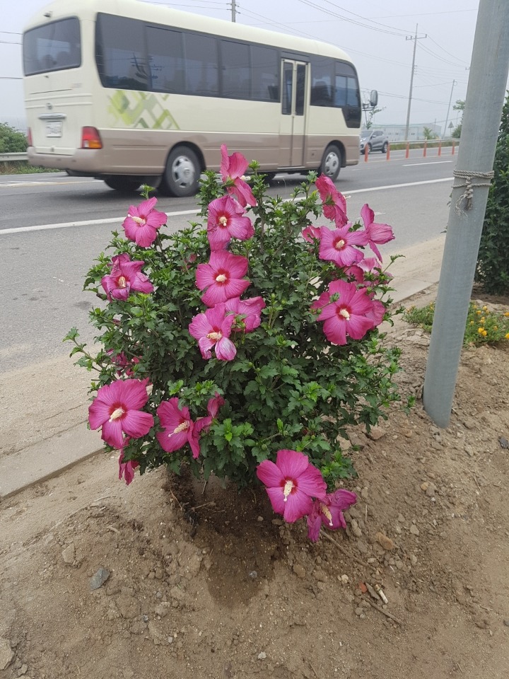 국도주유소 이미지