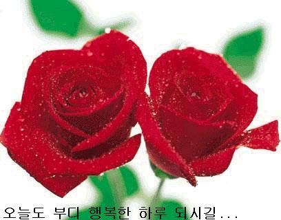 꽃들임 이미지