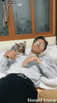 ??? : 하여간 괭이든 든 집에 들이기만해봐.gif | 인스티즈