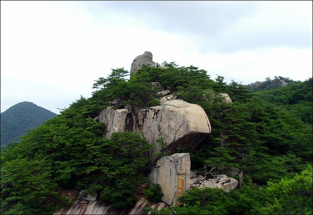 강선대민박 이미지