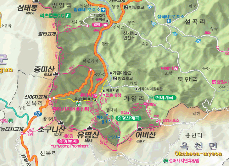 대일민박 이미지