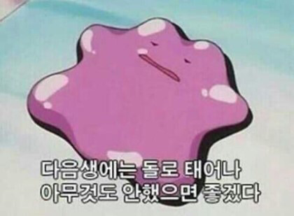 이중에서 다시 태어날수있다면 한국 VS 중국 VS 일본 | 인스티즈
