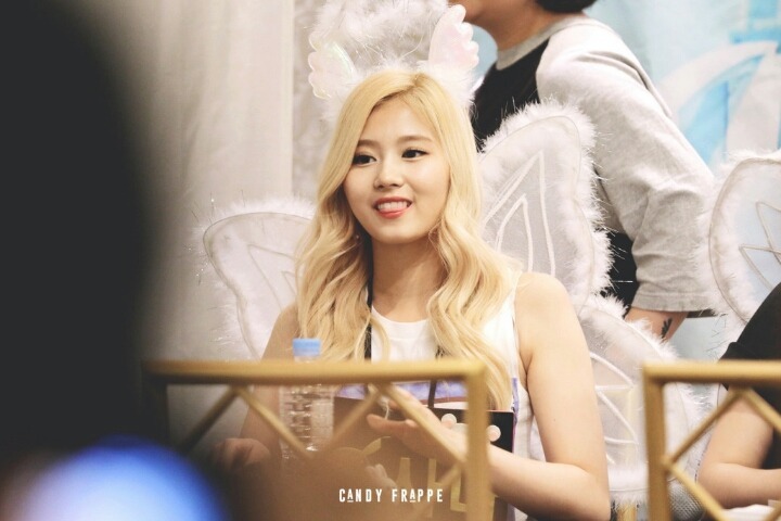 트와이스 사나 | 인스티즈