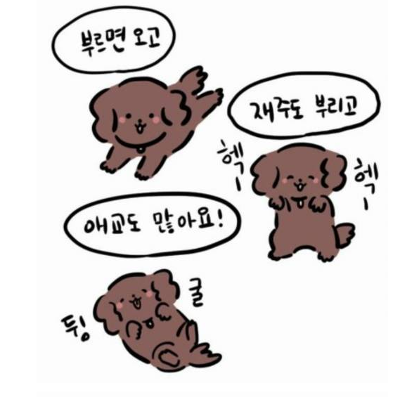 고양이와 강아지.jpg | 인스티즈