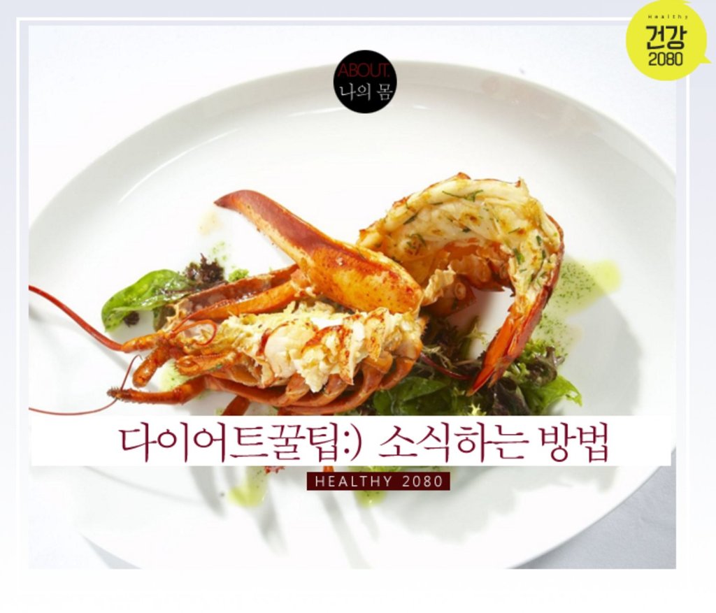 다이어트 꿀팁: 소식하는 방법! | 인스티즈