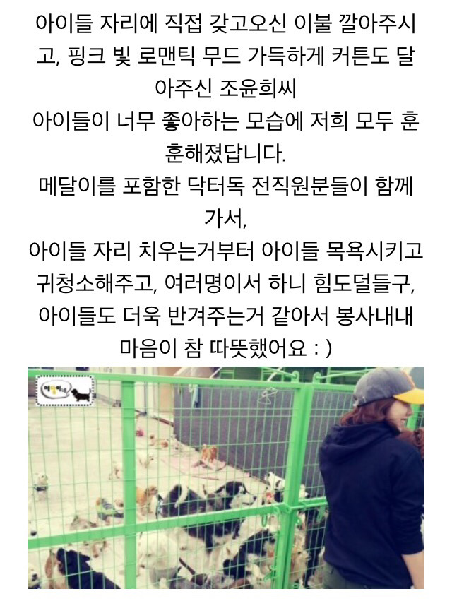 장애 유기견 입양해서 키우는 조윤희 | 인스티즈