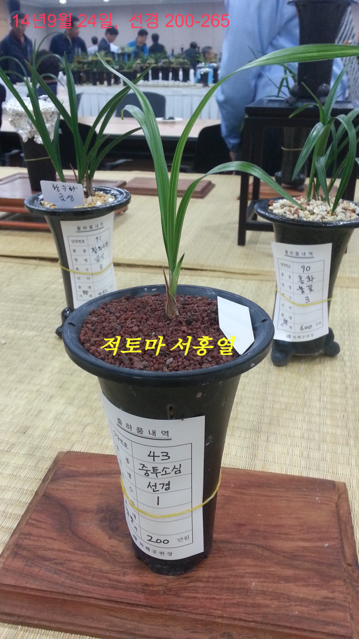 한국공판장 이미지