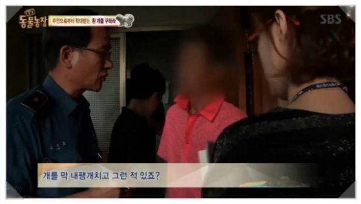 이유없는 강아지 학대 | 인스티즈