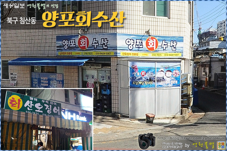 동네수산 이미지