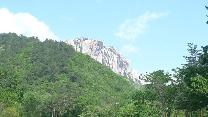 신흥사 이미지