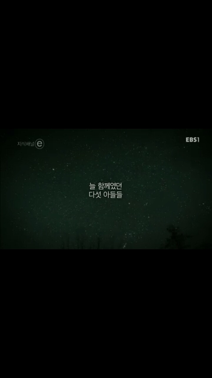 [[세월호]] [[[눈물주의]] ] 엄마, 내 친구들은 참 멋진 녀석들이에요 | 인스티즈