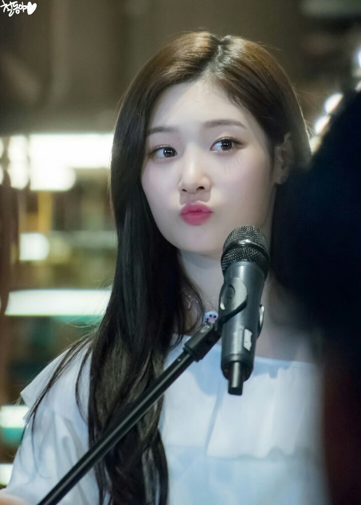 욜로 이미지