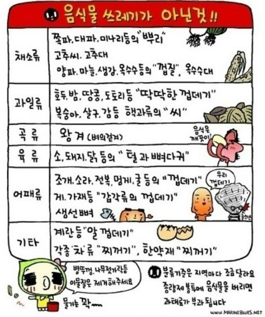 음식물 쓰레기가 아닌 것.jpg | 인스티즈