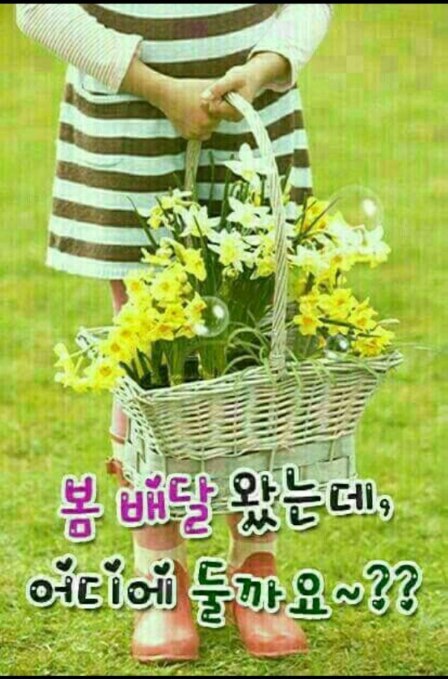 노래열차 이미지