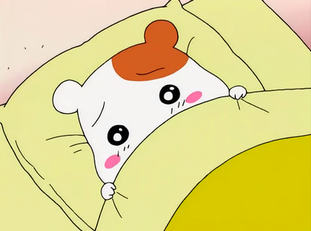 잘자 이미지