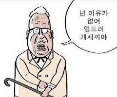 참사가 정치야? | 인스티즈
