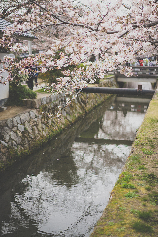 스냅사진 위주의 유치진지한 여행기 - 오사카&교토 (3) | 인스티즈