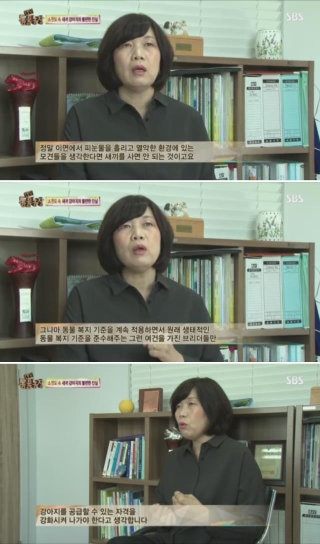 [동물농장] 쇼 윈도 속 새끼 강아지의 불편한 진실 | 인스티즈
