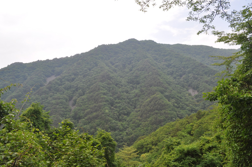 박지산(두타산) 이미지