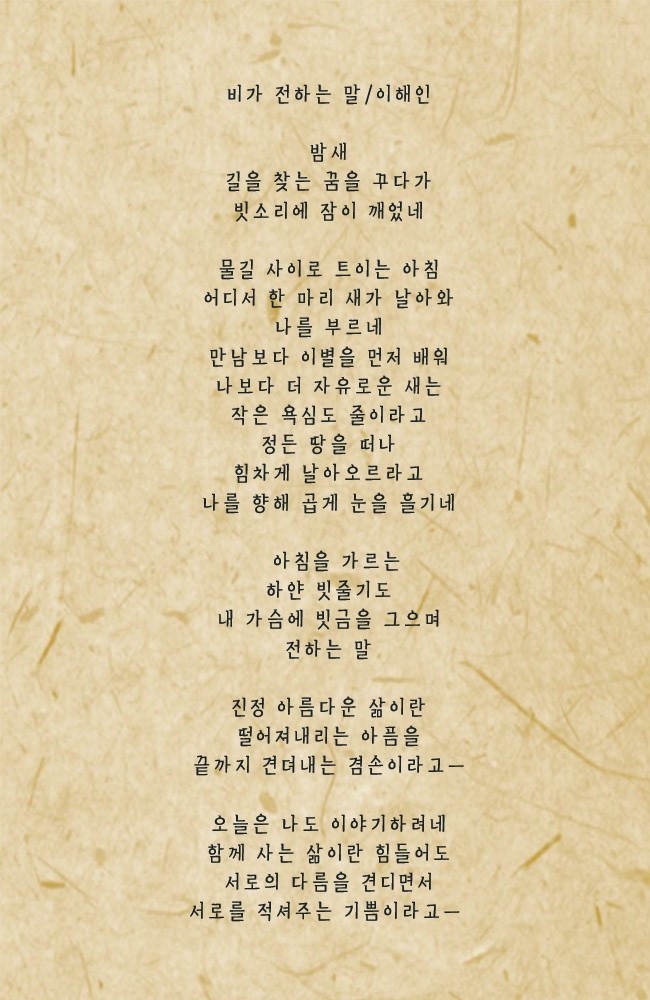 엘리사벳 이미지