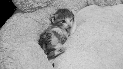 복부에 니킥을 | 인스티즈