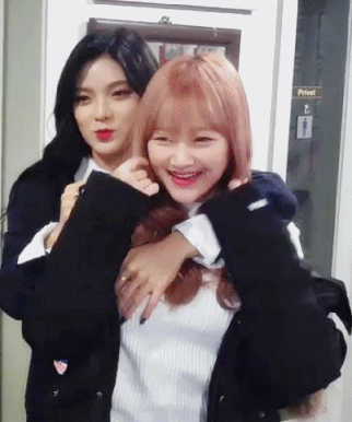 나인뮤지스 보고가세요 ㅎㅎ | 인스티즈