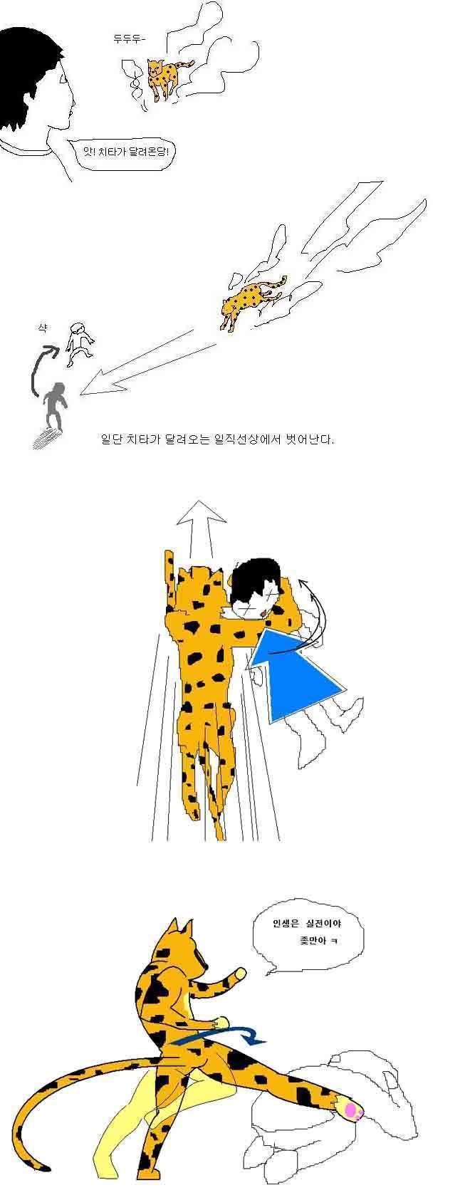 동물과 1대일로 싸워 이기는방법 | 인스티즈