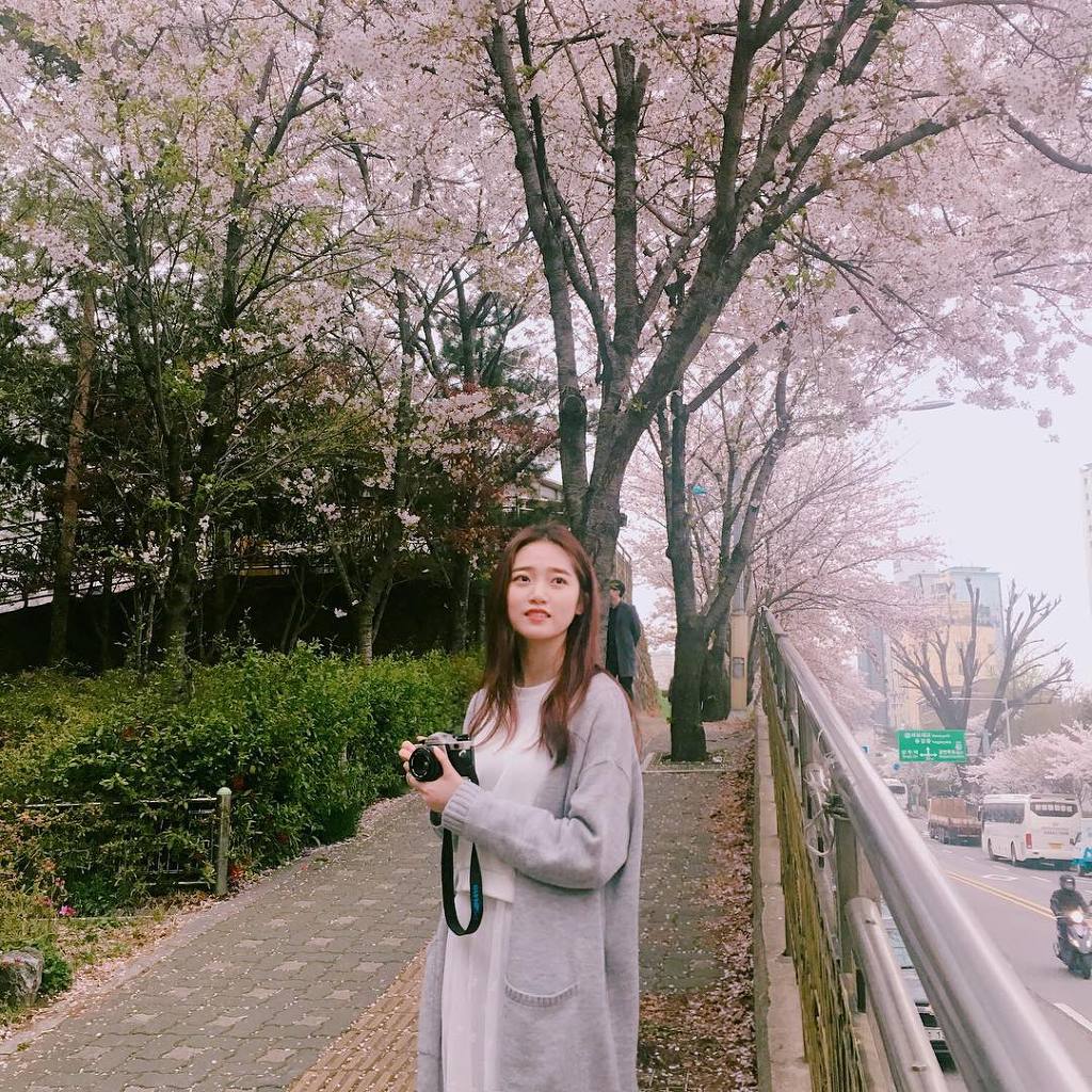 제 이상형 연예인 | 인스티즈