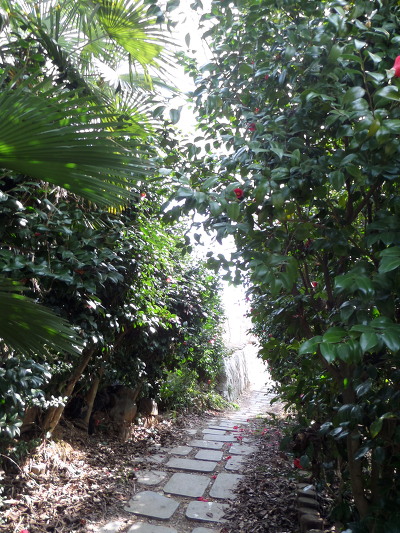 237D4D3A5528928A0A45F3