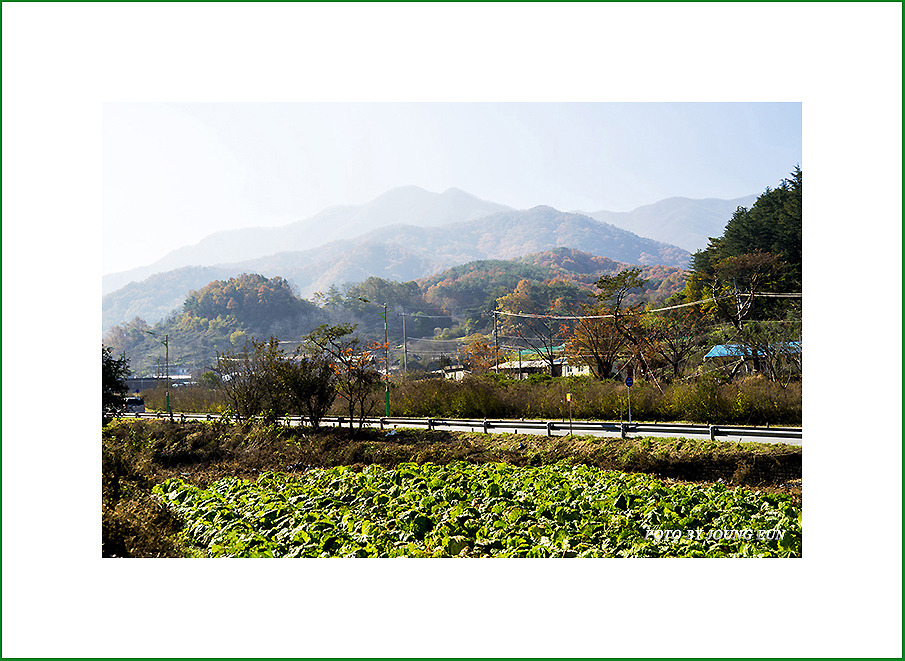 미가집성 이미지