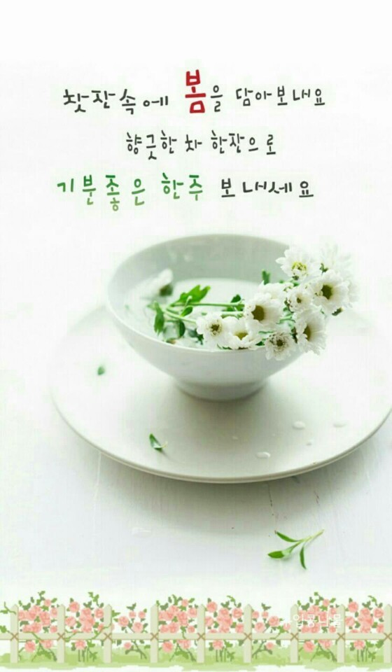 투고 이미지