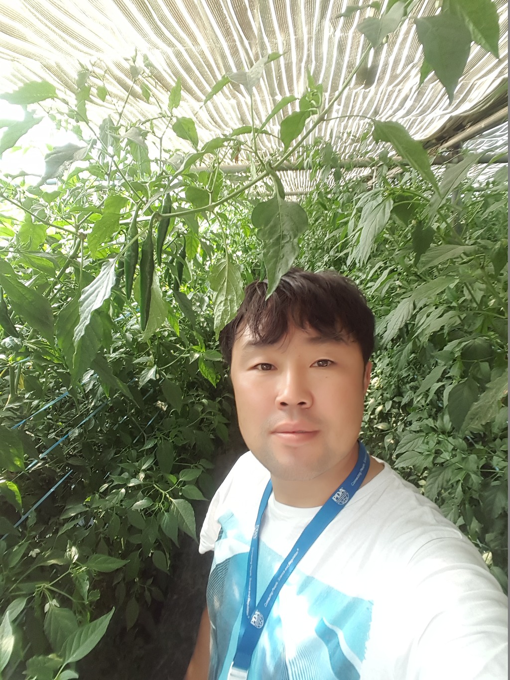제이디투어 이미지