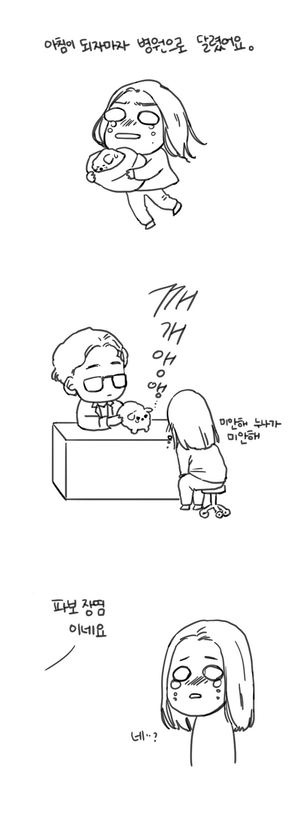 반려견 사기 피해자들의 제보를 받고 있습니다 | 인스티즈