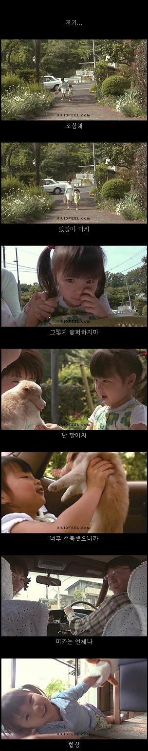 당신의 반려동물과의 이별을 생각해 본 적이 있습니까? | 인스티즈