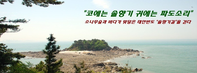 솔향기바다 이미지