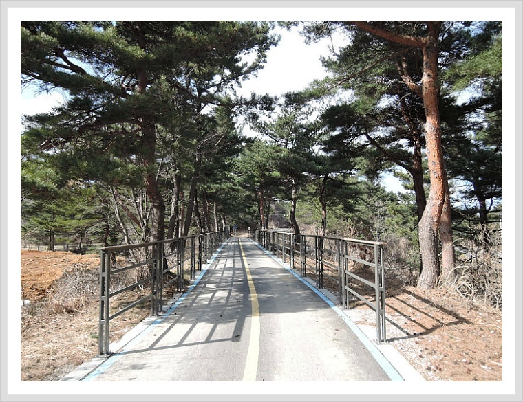 해파랑길 42코스 이미지