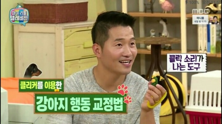 [마리텔] 강형욱 훈련사도 포기한 강아지 도비 | 인스티즈