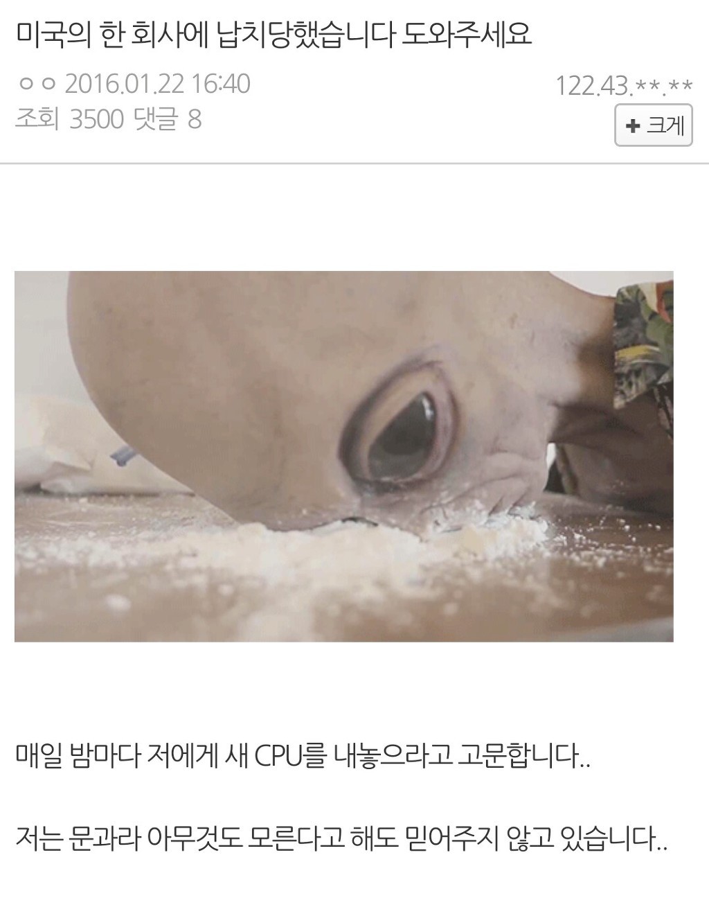 허언증 갤러리 외계인 출현 | 인스티즈