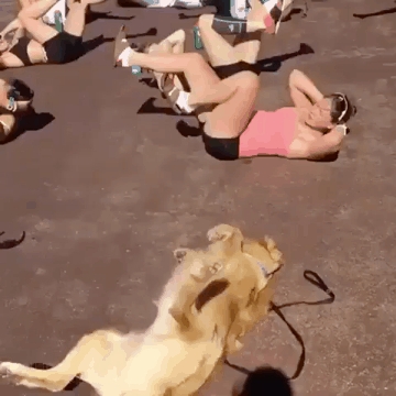 따라하는 인절미 gif | 인스티즈