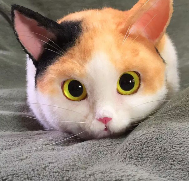 고양이 가방 | 인스티즈