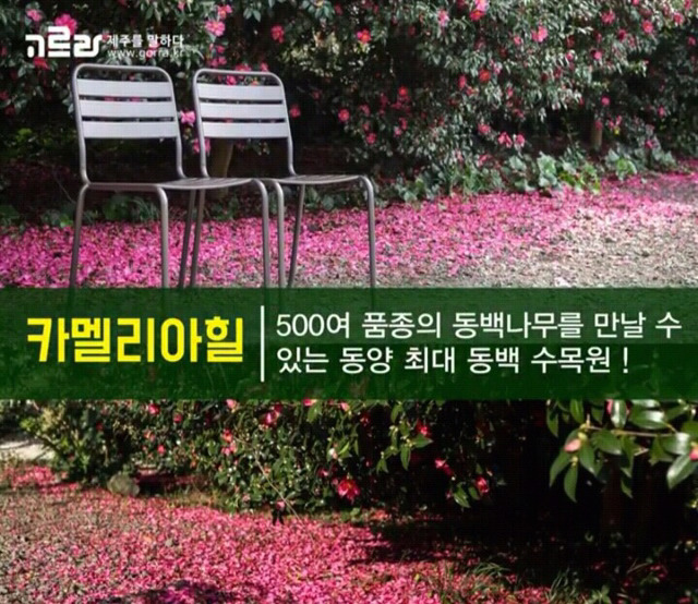 여자친구와 제주도로 여행을 떠나보자 | 인스티즈