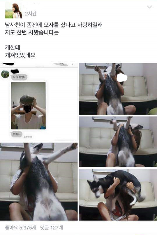 남사친이 모자샀다고 자랑하길래 | 인스티즈
