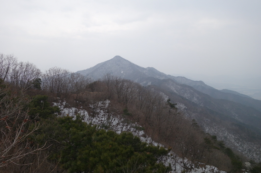 대구상사 이미지