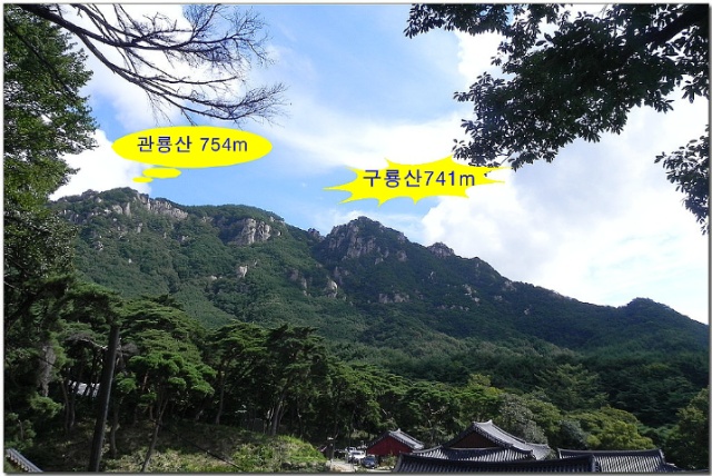 창녕제일주유소 이미지